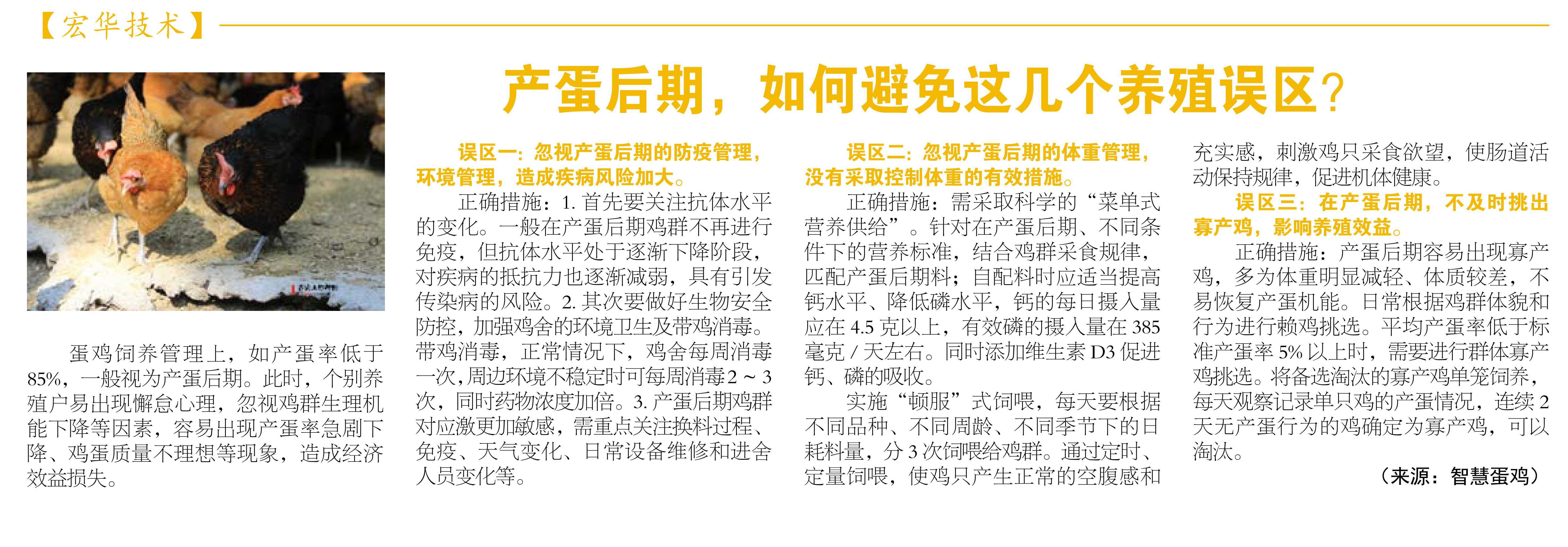 企业内刊.jpg