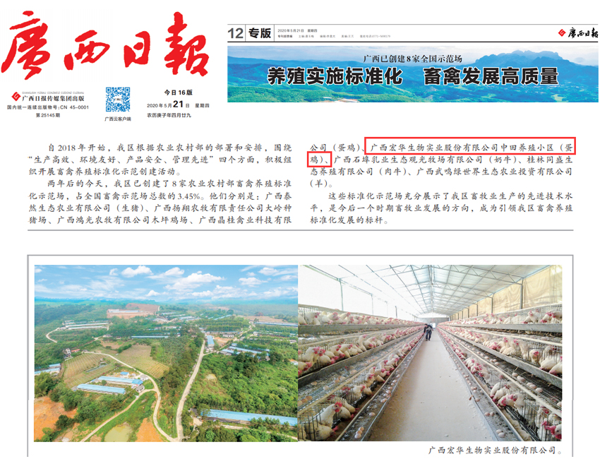 媒体报道.jpg